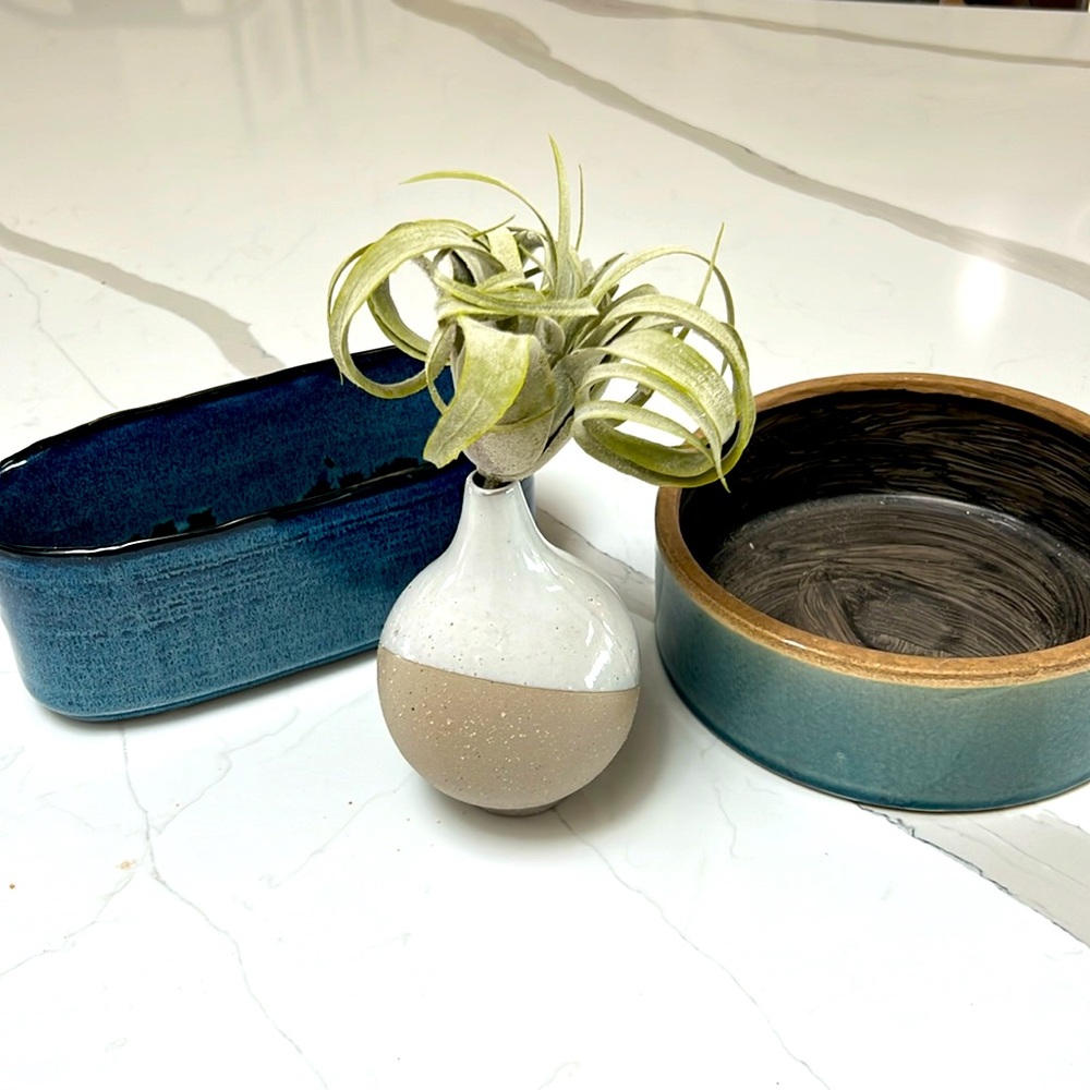 West elm ceramic bowls/low vase